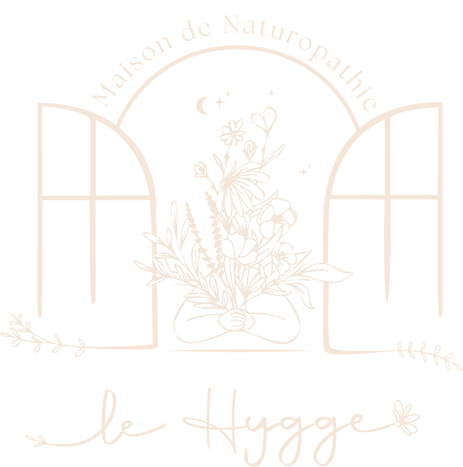 Logo Le Hygge vendée